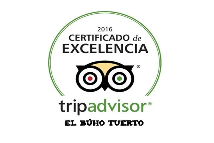Trip Advisor 2016